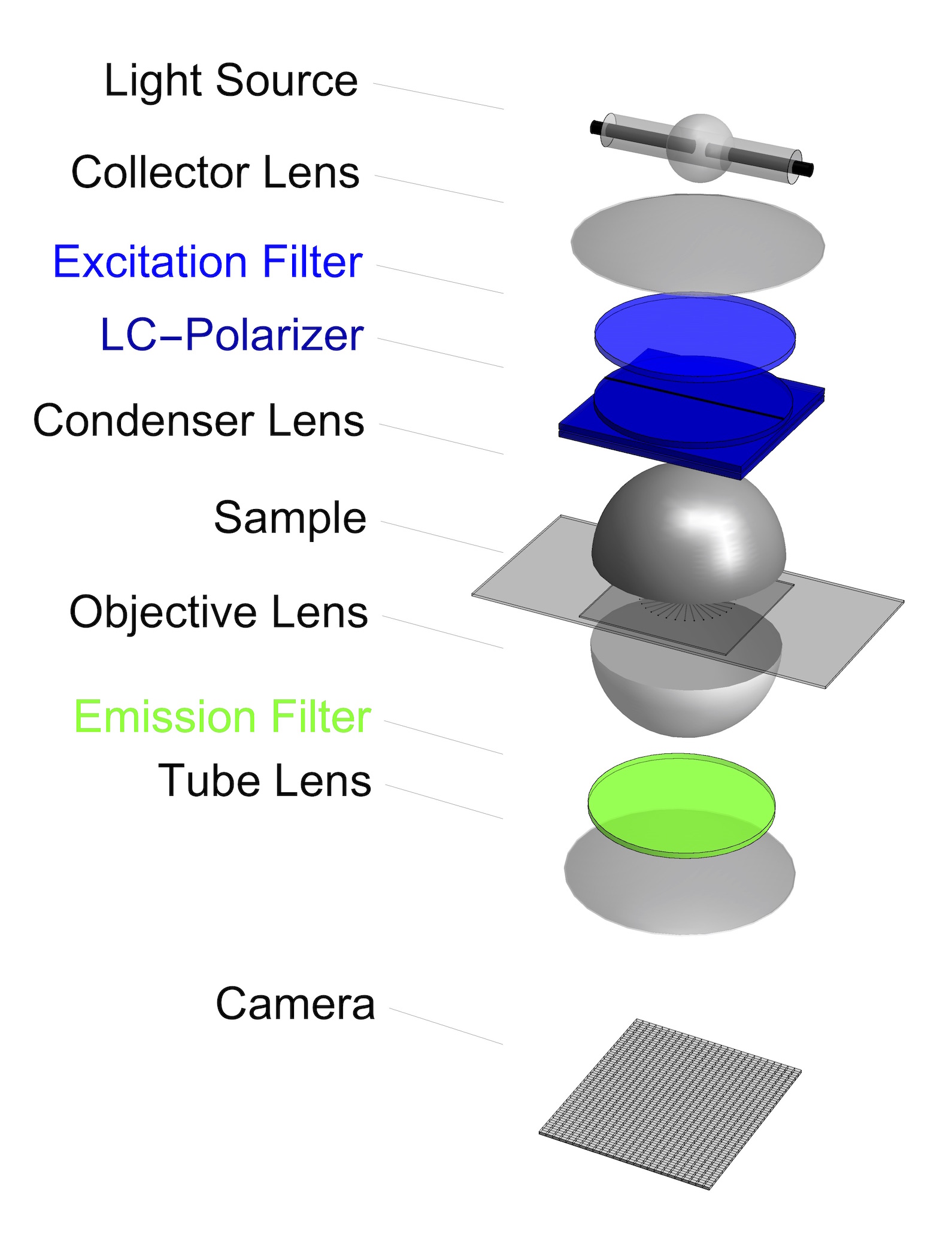 Polarized Fluorescence Setup (Inverted Scope)