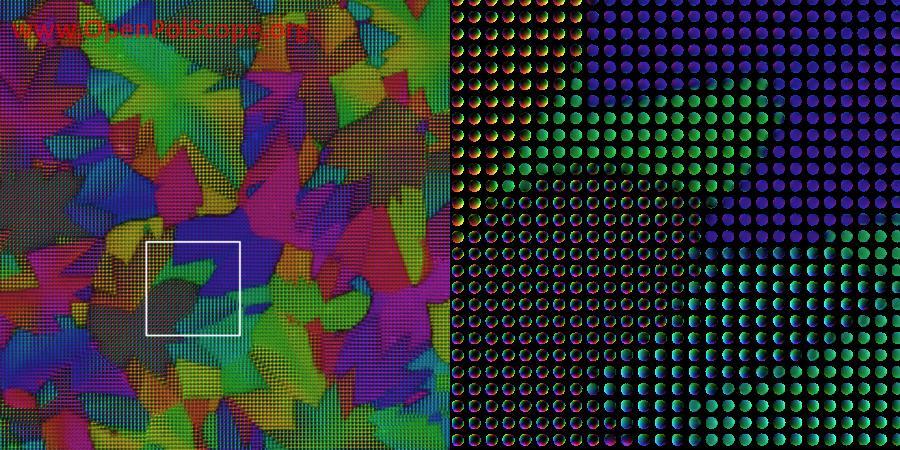 Calcite layer imaged with the Birefringence OpenPolScope equipped with a light field sensor.
